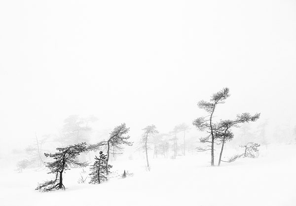 Photograph Carmen Spitznagel Winter Tales I on One Eyeland