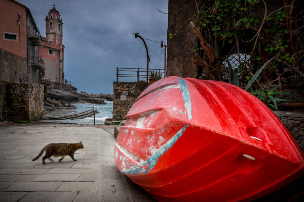 Photograph Roberto Nencini The Cat on One Eyeland
