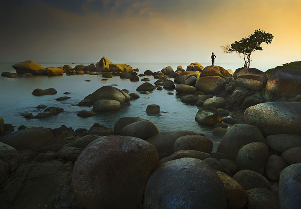 Photograph Dody Herawan Little Tree on One Eyeland