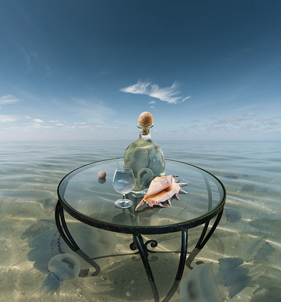 Photograph Ray Art Still Life On Seascape on One Eyeland