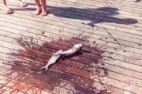 Photograph Igor Emmerich Coney Island 2 on One Eyeland