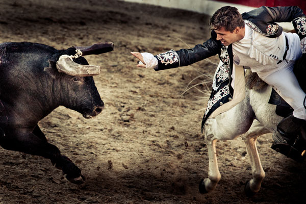 Photograph Krystel Marques Bullfight on One Eyeland