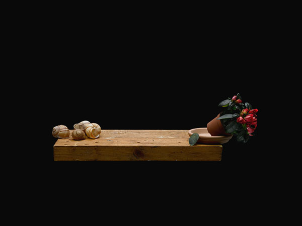 Photograph Heinz Baumann Board Stories V on One Eyeland