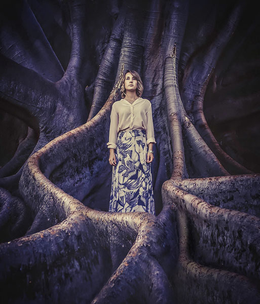 Photograph Emmi Virtanen Roots on One Eyeland