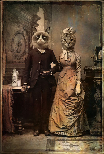 Photograph Ddiarte Ddiarte Cat Couple on One Eyeland