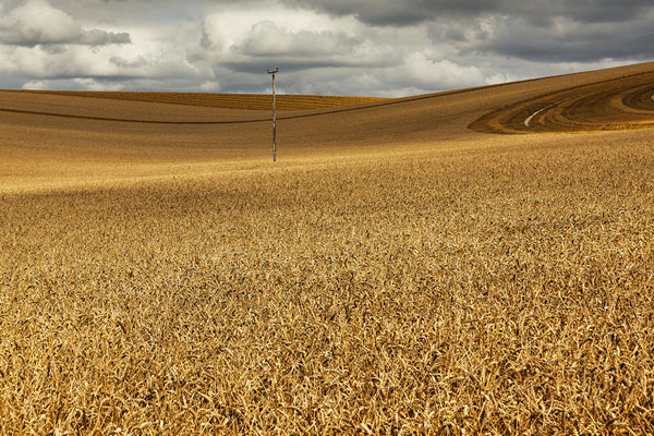 Photograph Mark Benham August Harvest 3 on One Eyeland