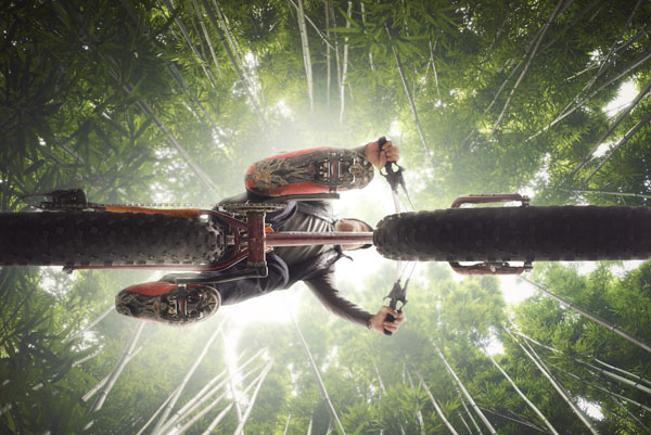Photograph Cody Hamilton Bamboo Forest Cycling on One Eyeland
