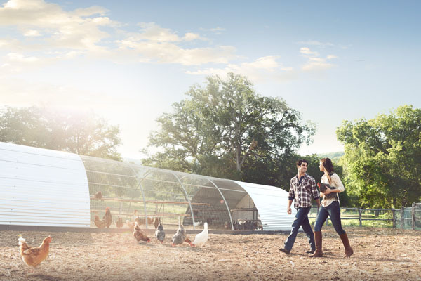 Photograph Cody Hamilton Traaasa Farm on One Eyeland