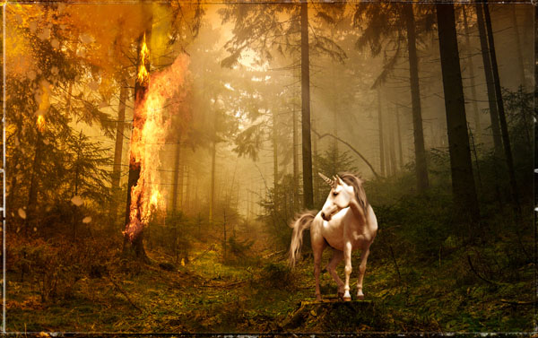 Photograph Richard Desmarais The Last Unicorn on One Eyeland