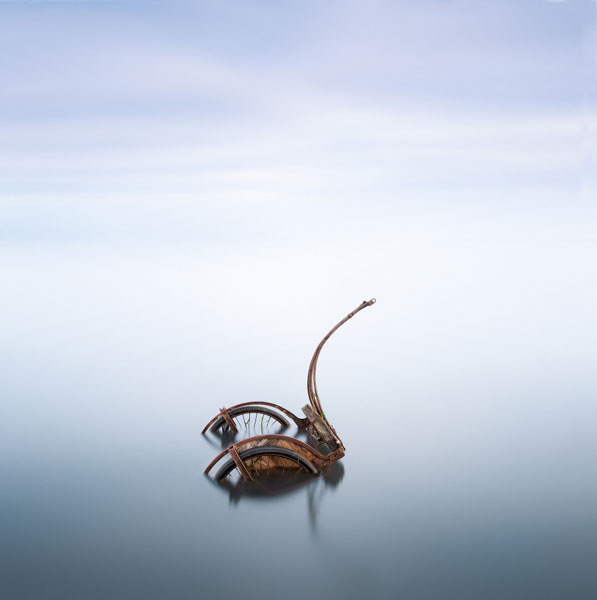 Photograph Jose Beut The Swan on One Eyeland