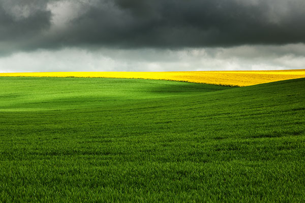 Photograph Mark Benham Green And Yellow Below The Grey on One Eyeland