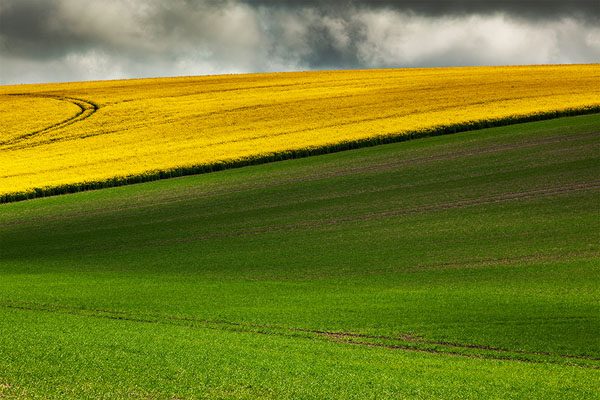 Photograph Mark Benham Along The Edge on One Eyeland