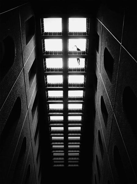 Photograph Juan Albillo Untitled on One Eyeland