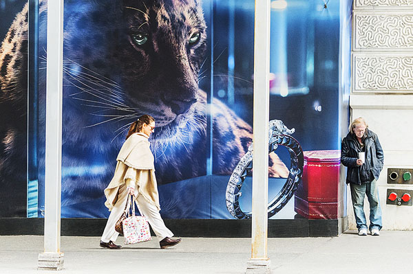 Photograph Mitchell Funk Tiger Wall on One Eyeland