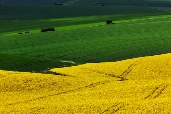 Photograph Mark Benham Swaths Of Our Countryside on One Eyeland