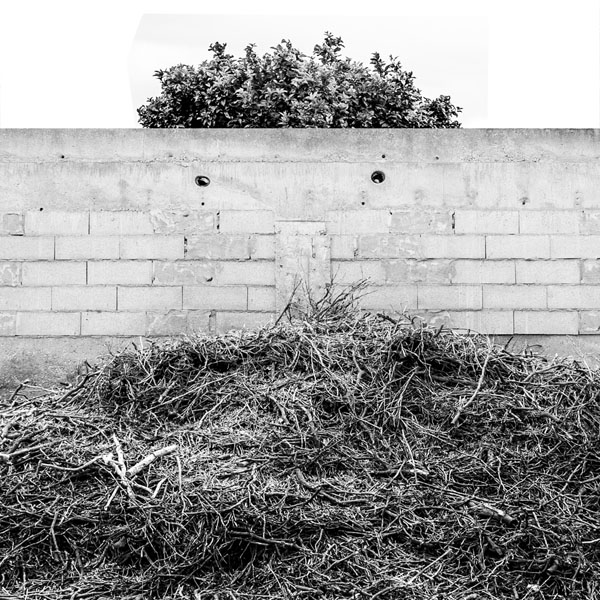 Photograph Jose Conceptes A Veces Veo Caras on One Eyeland