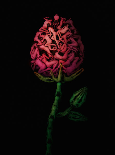 Photograph Chub Nokkaew Rose on One Eyeland
