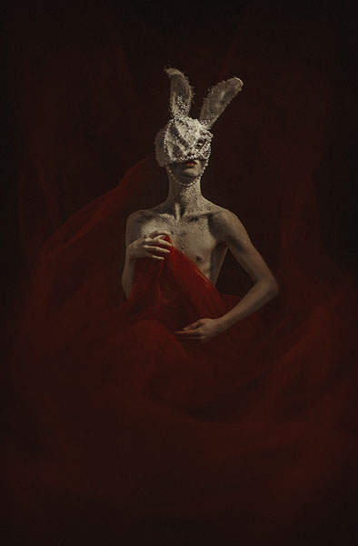 Photograph Mikaela Holmberg Hare on One Eyeland