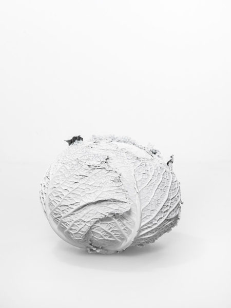 Photograph A Tamboly White on One Eyeland