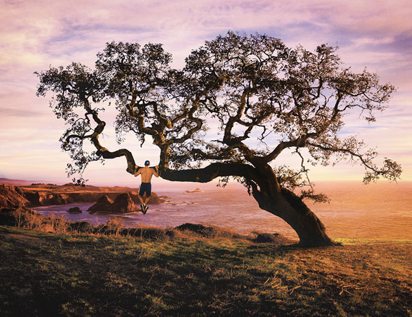 Photograph Robb Scharetg Pull Ups Overlooking Lost Cove on One Eyeland