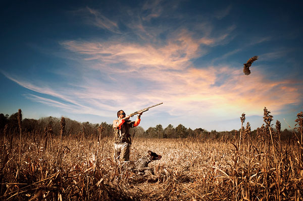 Photograph Robb Scharetg Bird In The Sights on One Eyeland