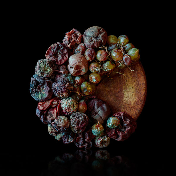 Photograph Jose Laino Pac Cake on One Eyeland