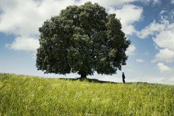 Photograph Eugenia Kyriakopoulou The Tree on One Eyeland