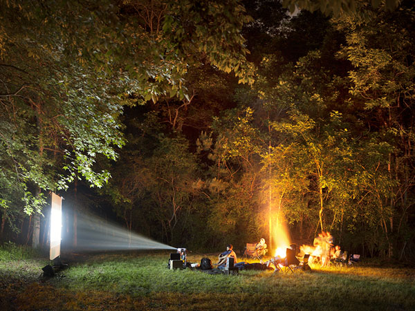 Photograph John Fulton Flix In The Forest on One Eyeland