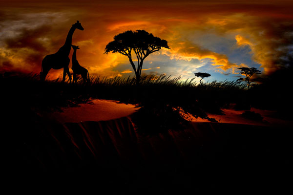 Photograph Robert Weber Peace In The Wild on One Eyeland