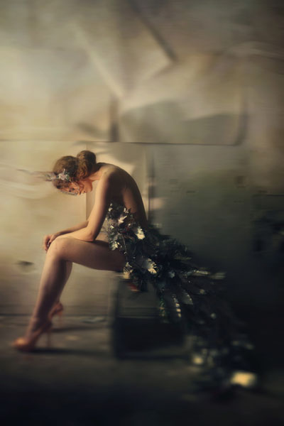 Photograph Cristina Venedict Ironic Feathers on One Eyeland