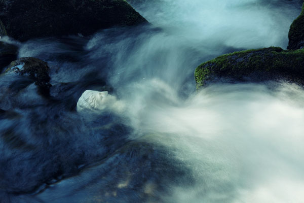 Photograph Floriana Barbu The Melancholy Of Beauty on One Eyeland