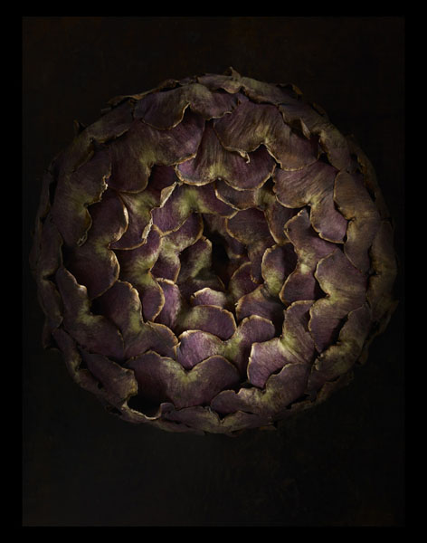 Photograph Sue Atkinson Artichoke on One Eyeland