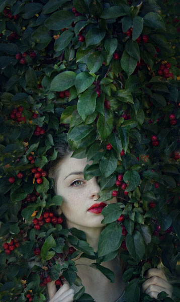 Photograph Michele Taras Crab Apples on One Eyeland