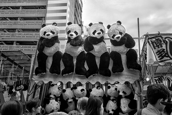 Photograph Yasuhiro Sakuda Pandas on One Eyeland
