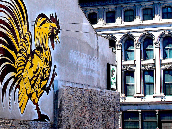 Photograph Ronnie Caplan Rooster In The City on One Eyeland