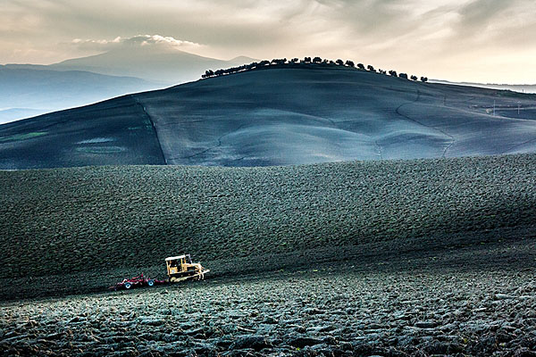 Photograph Mark Benham Little By Little on One Eyeland