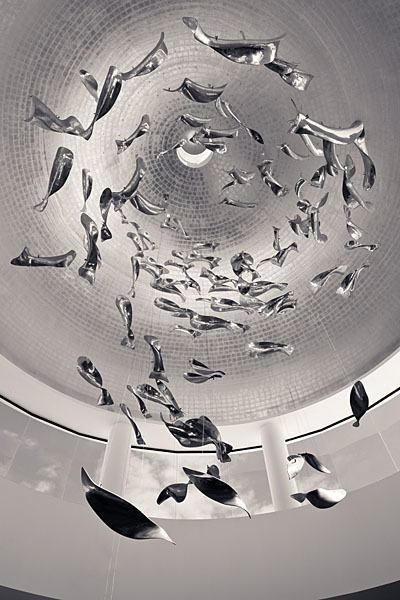Photograph Thierry Delsart Up 1 on One Eyeland