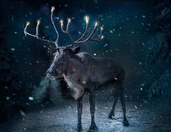 Photograph David Krovblit Jewdolph The Chrismakuh Reindeer on One Eyeland