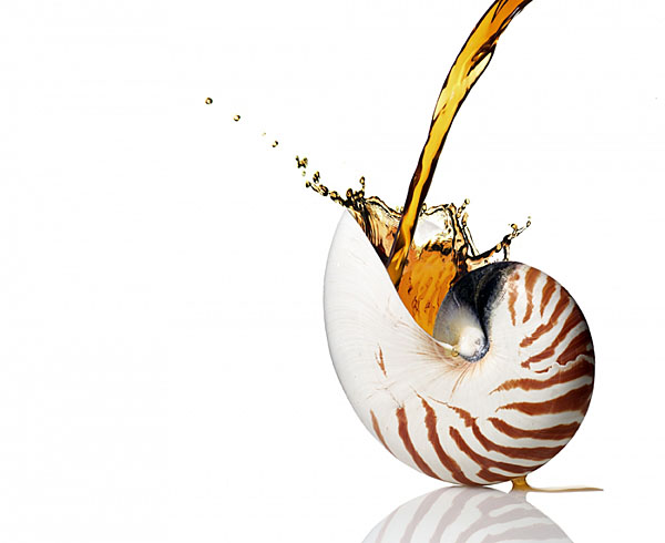 Photograph Steve Nozicka Sea Shell Splash on One Eyeland