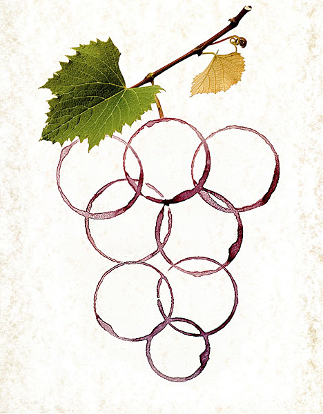 Photograph Steve Nozicka Food And Wine on One Eyeland