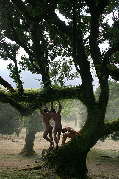 Photograph Ddiarte Ddiarte The Three On The Tree on One Eyeland