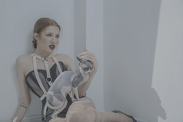 Photograph Jovana Mladenovic Sphynx on One Eyeland
