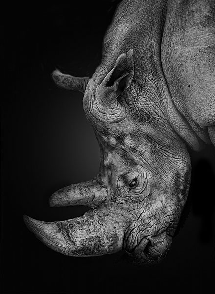 Photograph Amador Funes The Beast on One Eyeland