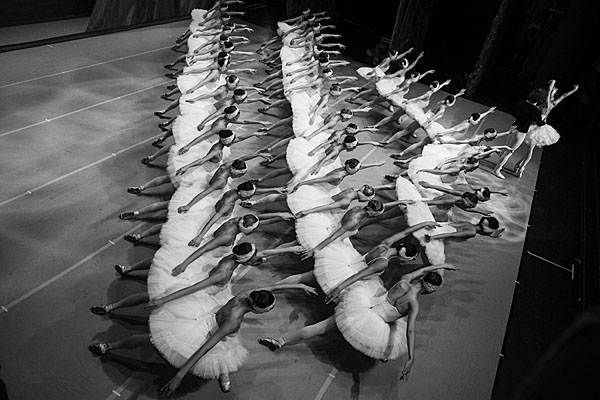 Photograph Darian Volkova Swan Lake on One Eyeland