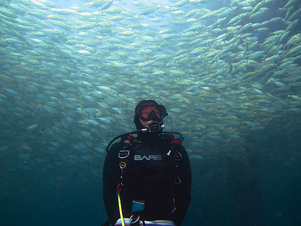 Photograph Hafiz Zainol Lucky Diver on One Eyeland