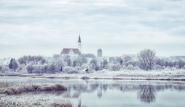 Photograph Algirdas Zibolis Firs Frost on One Eyeland