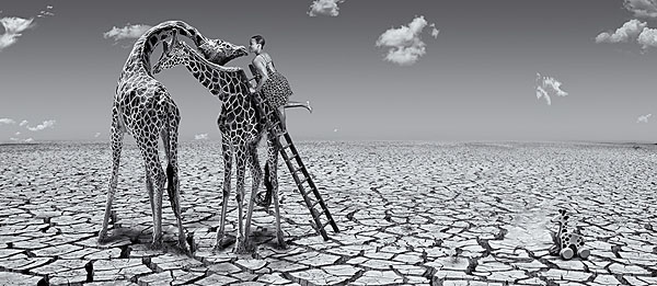 Photograph Arun Mohanraj How To Kiss A Giraffe on One Eyeland