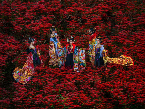 Photograph Haseo Hasegawa Hell Of Flowers on One Eyeland