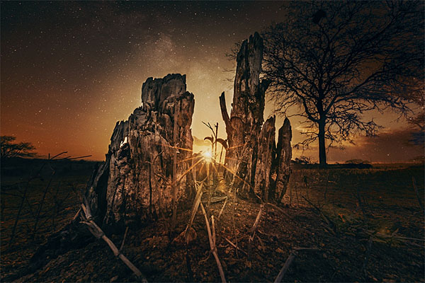 Photograph Jackson Carvalho Still Life on One Eyeland