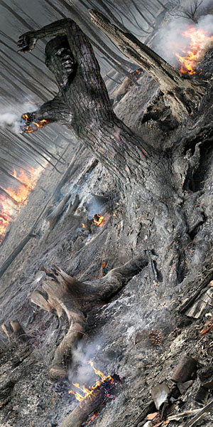 Photograph Ddiarte Ddiarte Fire on One Eyeland